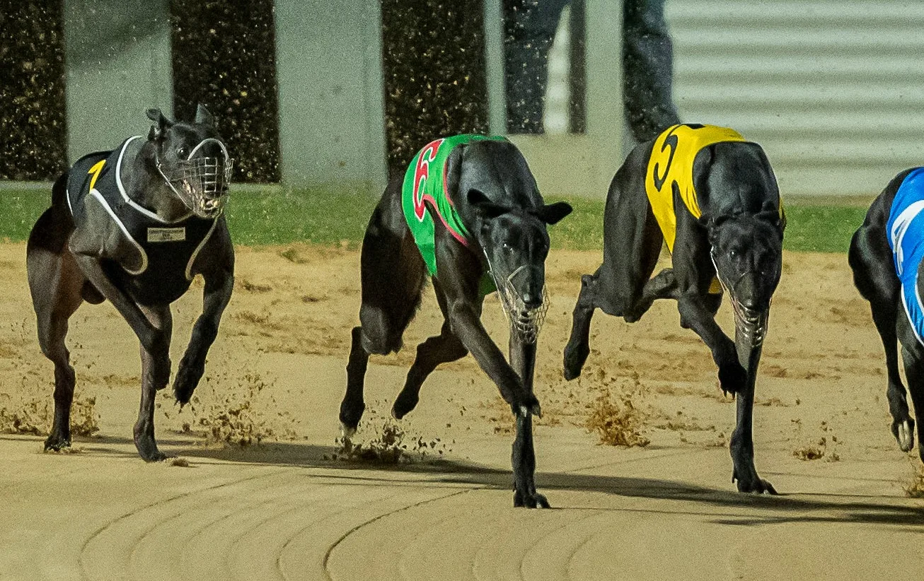 Archibald’s Early Burn Key To Keith Harding Trophy Chances