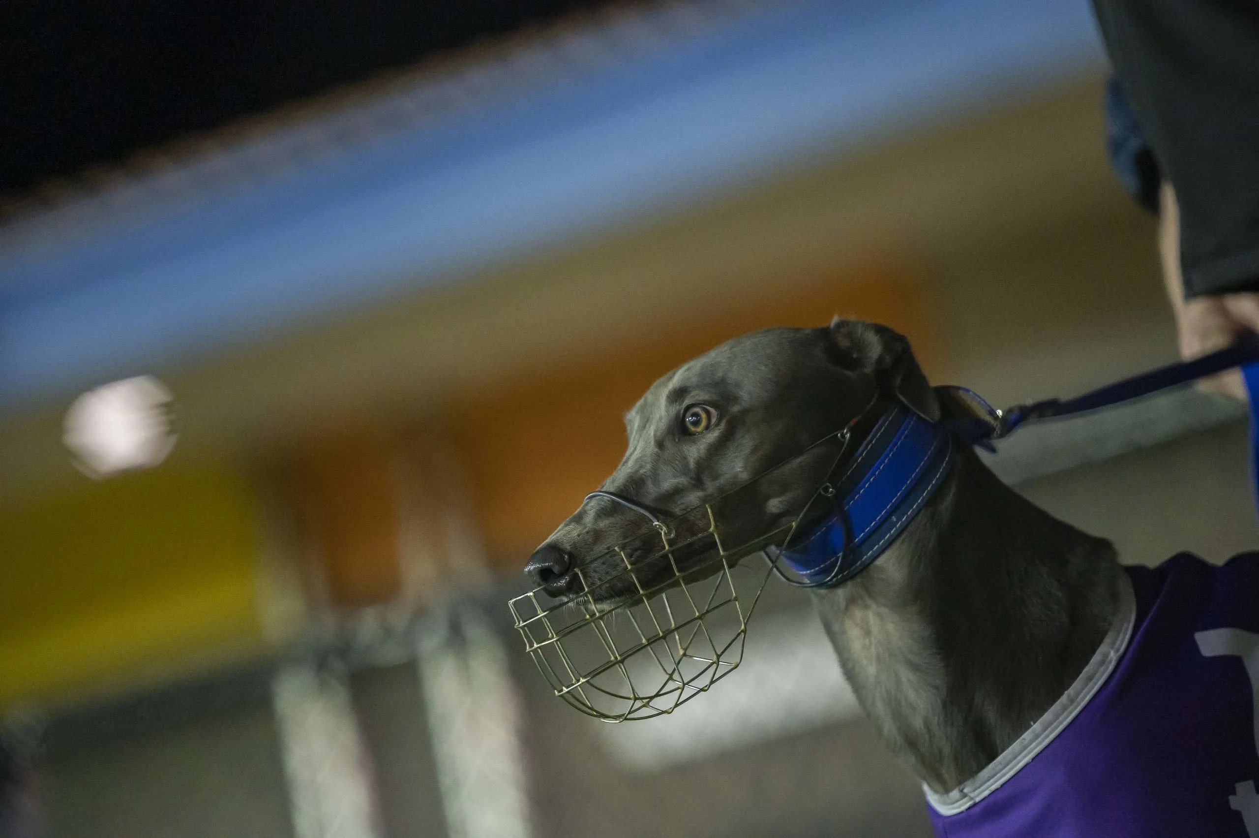 Nationals Race Day Change